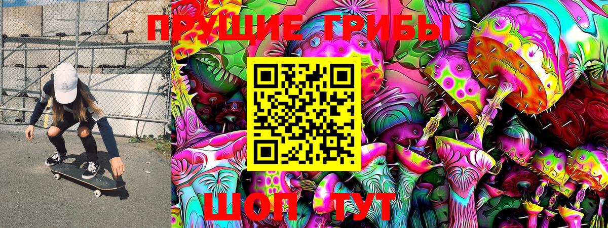 Псилоцибиновые грибы GOLDEN TEACHER  где можно купить наркотик  Кудымкар  Вход с VPN 