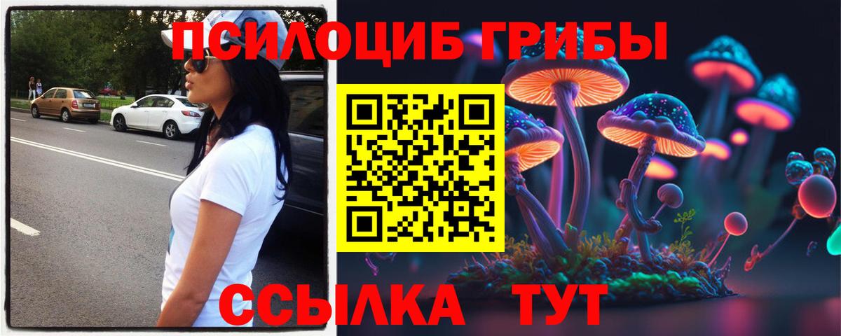Псилоцибиновые грибы мицелий Кудымкар
